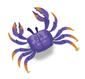 crab